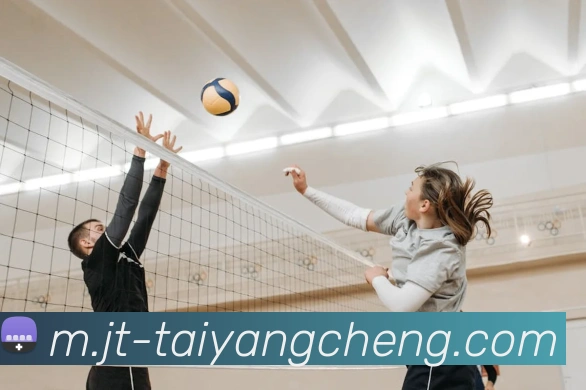 澳门太阳城平台生态图